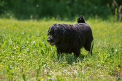 Photo-10