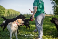 Photo-100