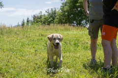 Photo-16