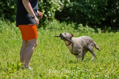 Photo-18