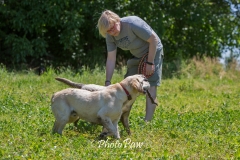 Photo-19
