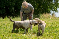 Photo-20