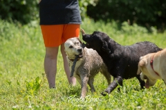 Photo-22