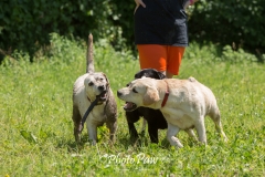 Photo-23