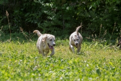 Photo-24