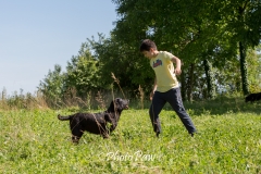 Photo-28
