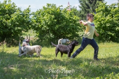 Photo-32