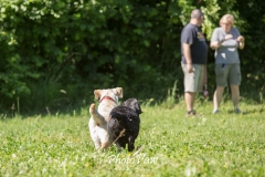 Photo-34