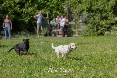 Photo-35