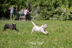 Photo-36
