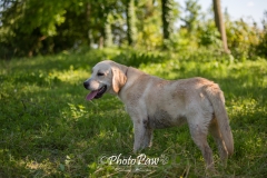 Photo-49