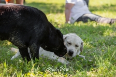 Photo-50