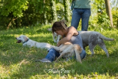 Photo-57