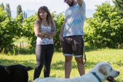 Photo-64