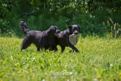 Photo-7