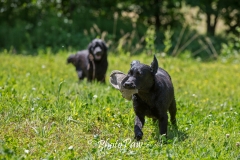 Photo-9