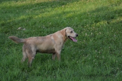 image001