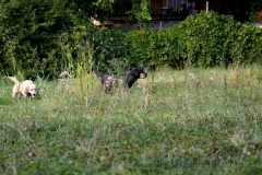 image011