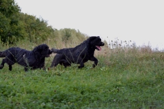 image014