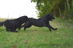 image015