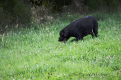 image022