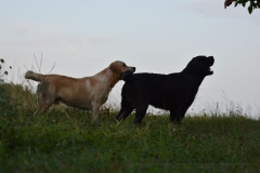 image026