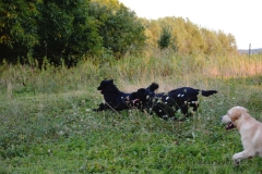 image029