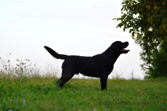 image033